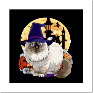 Birman Cat Funny Halloween Witch Pumpkin Posters and Art